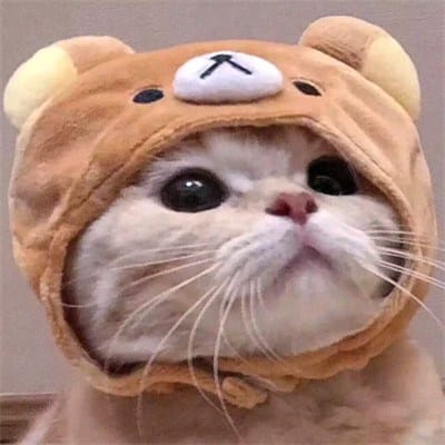 ปวีร์ ตันฑะเตมีย์ avatar